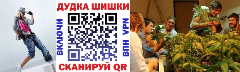 Наркошоп Новомичуринск Кокаин  ГАШИШ  А ПВП  Конопля 