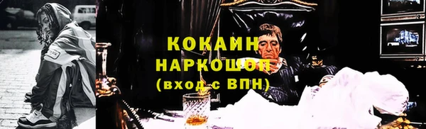 молекула духа Алексин
