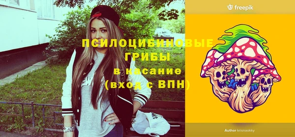 молекула духа Алексин