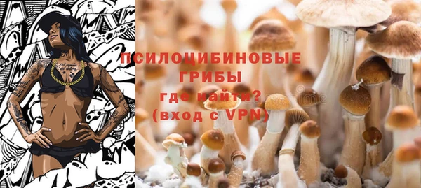 молекула духа Алексин