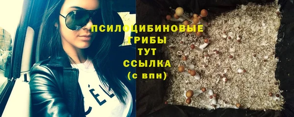 шишки Алзамай