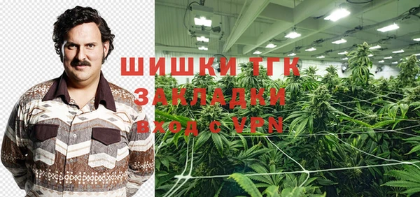 молекула духа Алексин