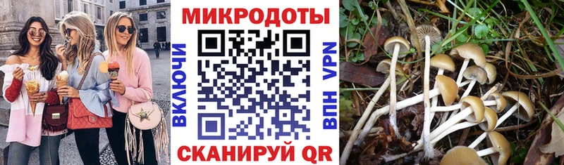 наркота  Новомичуринск  Псилоцибиновые грибы Cubensis 